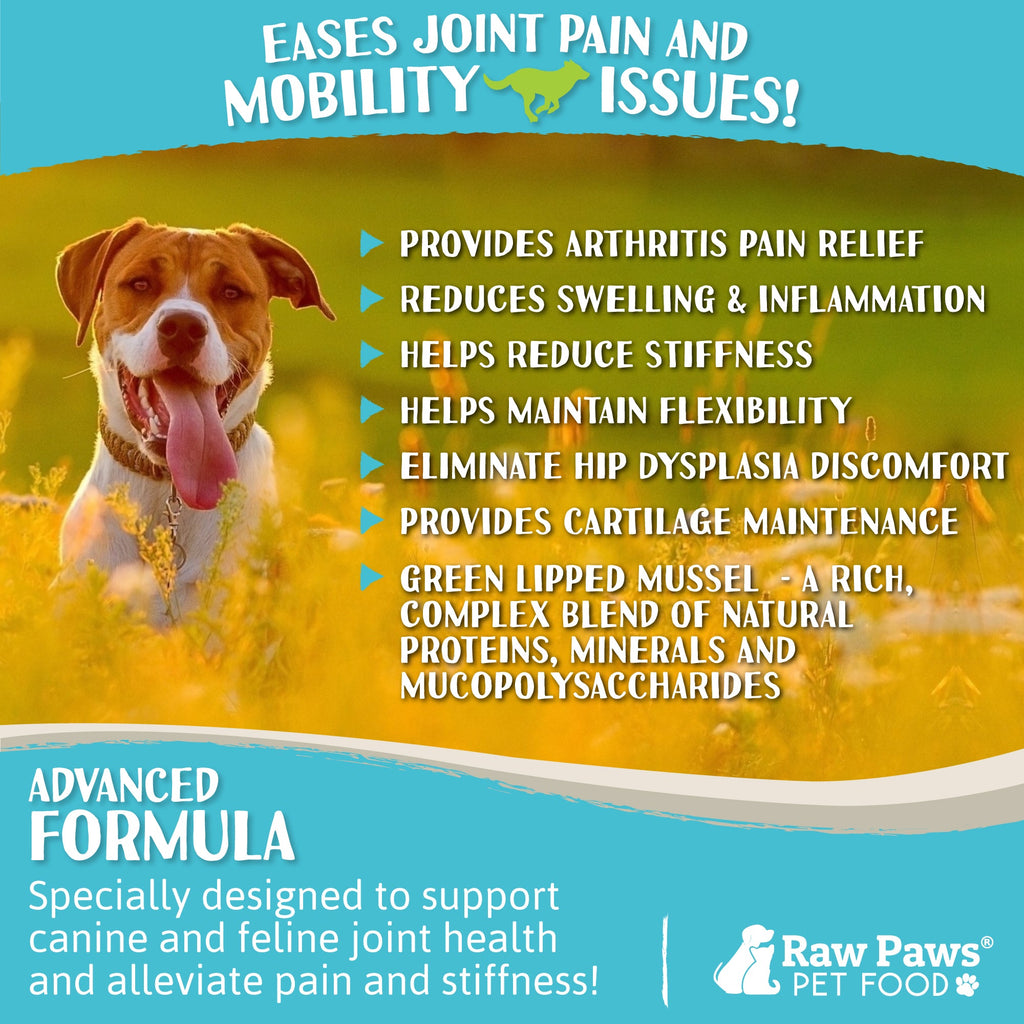 Dog Joint Supplement, Green-Lipped Mussel Blend for Joint, Digestion and Gut Health Support, 10 oz