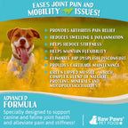 Dog Joint Supplement, Green-Lipped Mussel Blend for Joint, Digestion and Gut Health Support, 10 oz