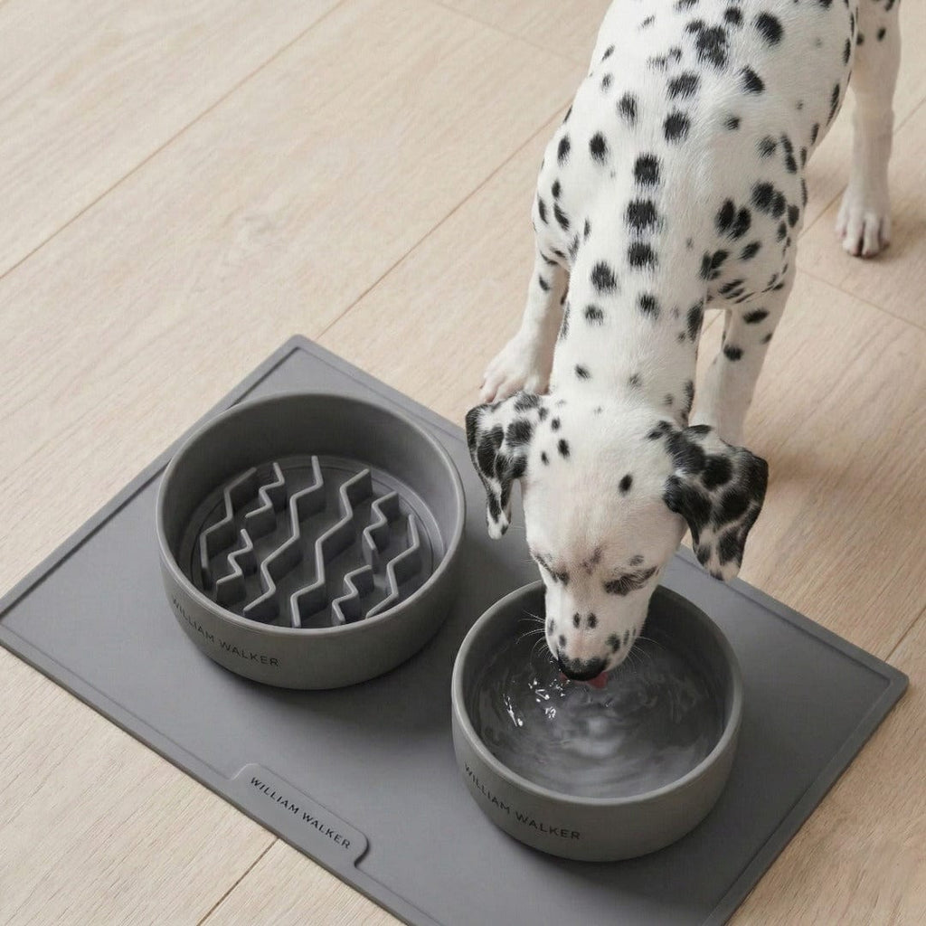 Pet Bowl Mat product image 5
