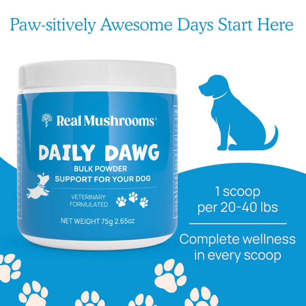 Dog Wellness Supplement product image 2