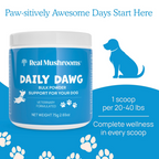 Dog Wellness Supplement product image 2