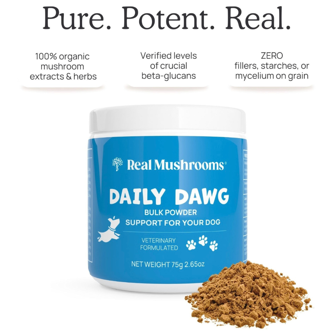 Dog Wellness Supplement product image 4
