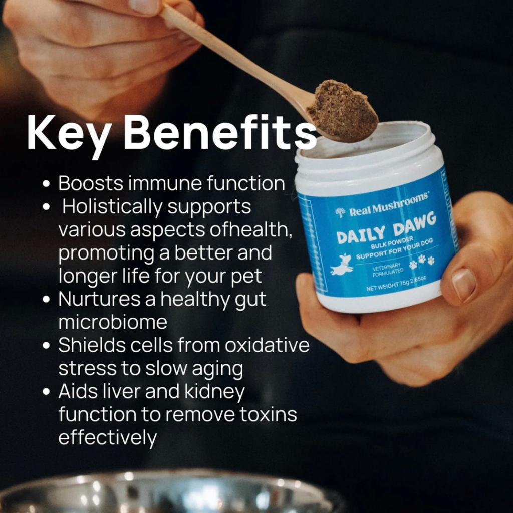 Dog Wellness Supplement product image 7