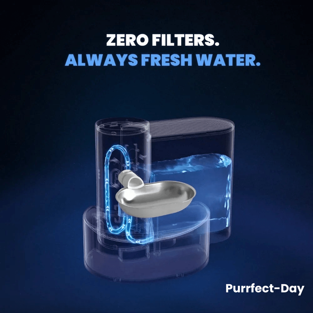 Cat Water Fountain product image 6