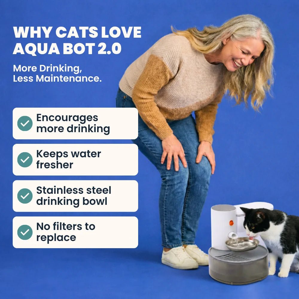 Cat Water Fountain product image 17
