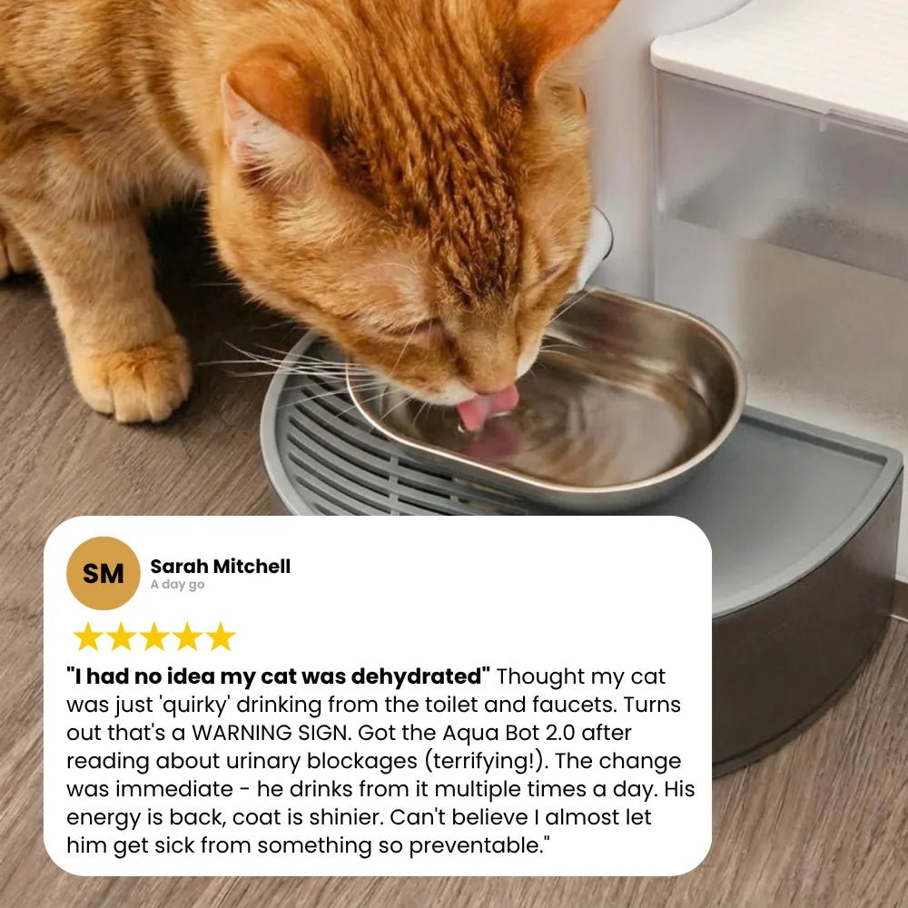 Cat Water Fountain product image 18