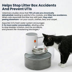 Cat Water Fountain product image 19