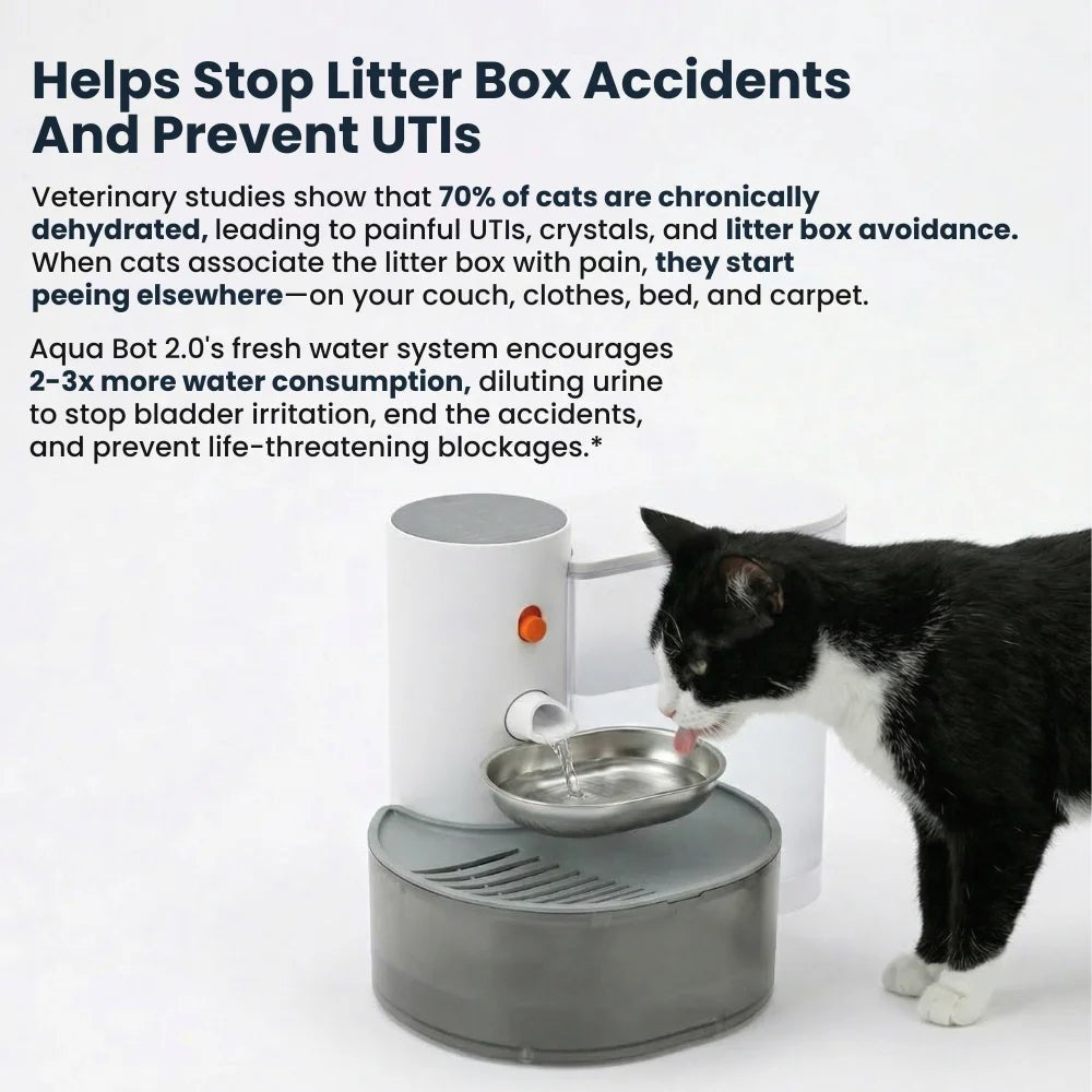 Cat Water Fountain product image 19