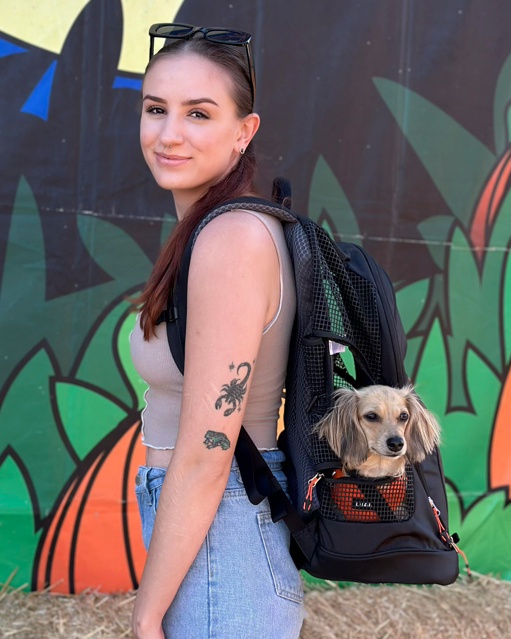 Dog Carrier Backpack product image 5