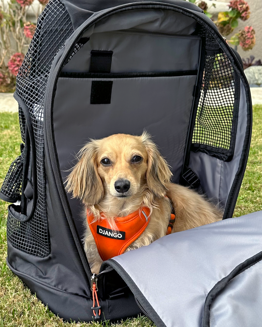 Dog Carrier Backpack product image 10