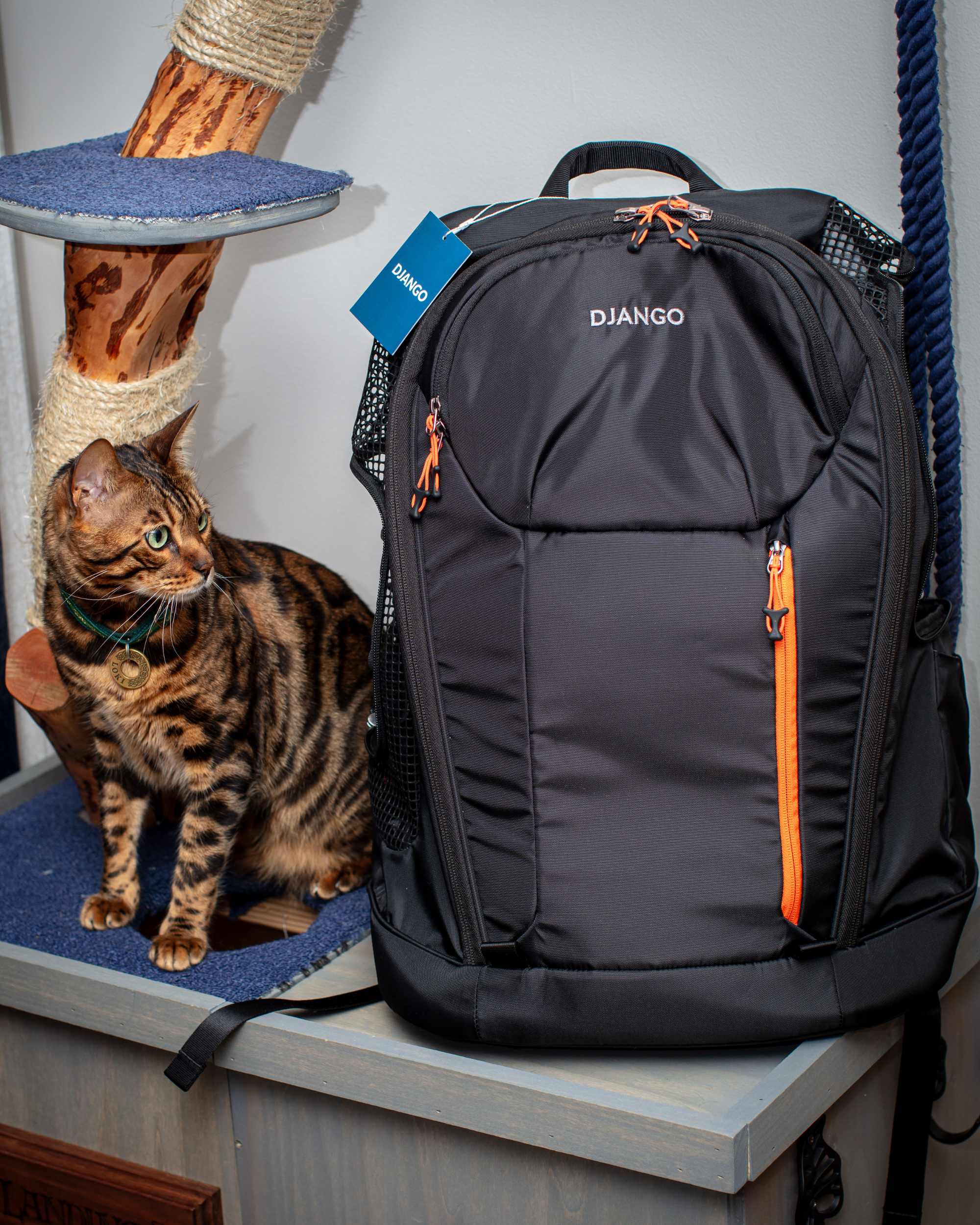 Dog Carrier Backpack product image 13