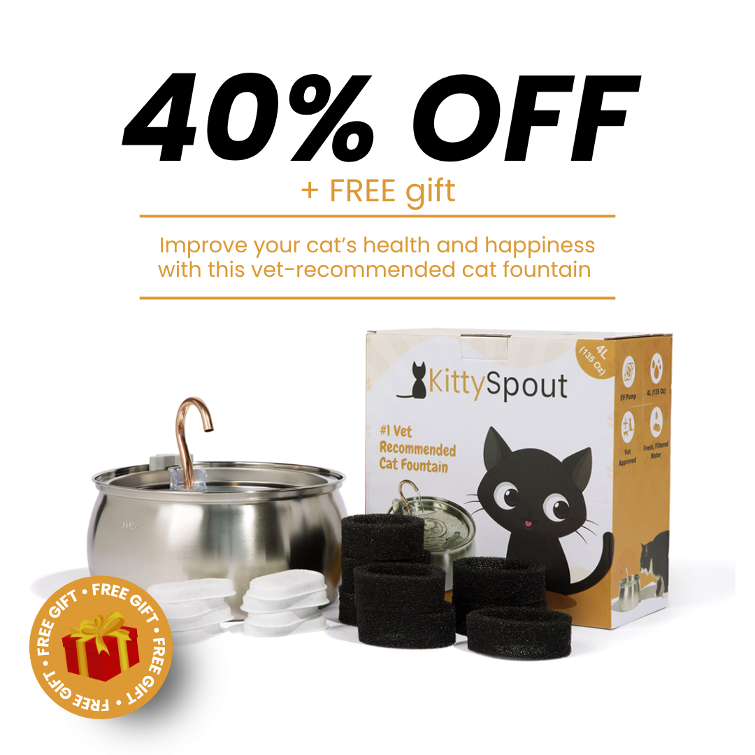 Cat Water Fountain product image 1