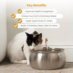Cat Water Fountain product image 5