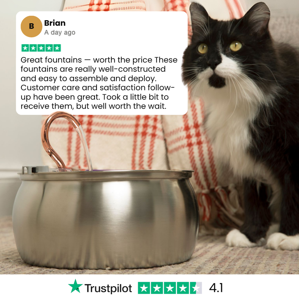 Cat Water Fountain product image 10