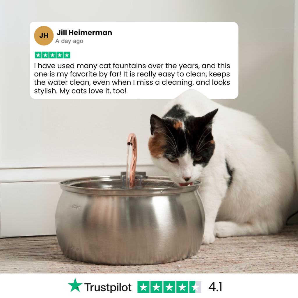 Cat Water Fountain product image 11
