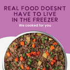 Gently Cooked Beef Dog Food product image 2