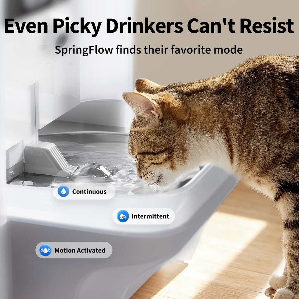 Smart Pet Water Fountain with Camera product image 4