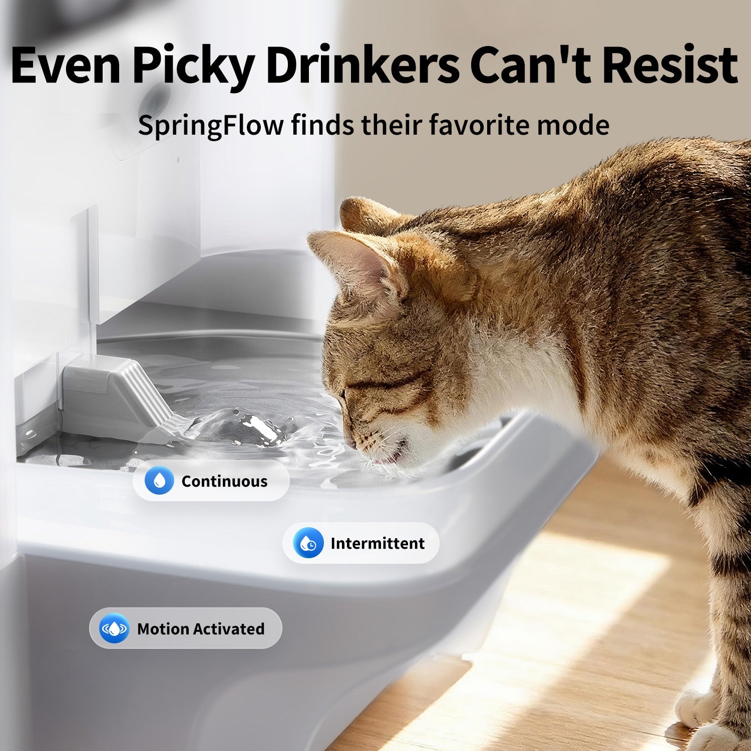 Smart Pet Water Fountain with Camera product image 4
