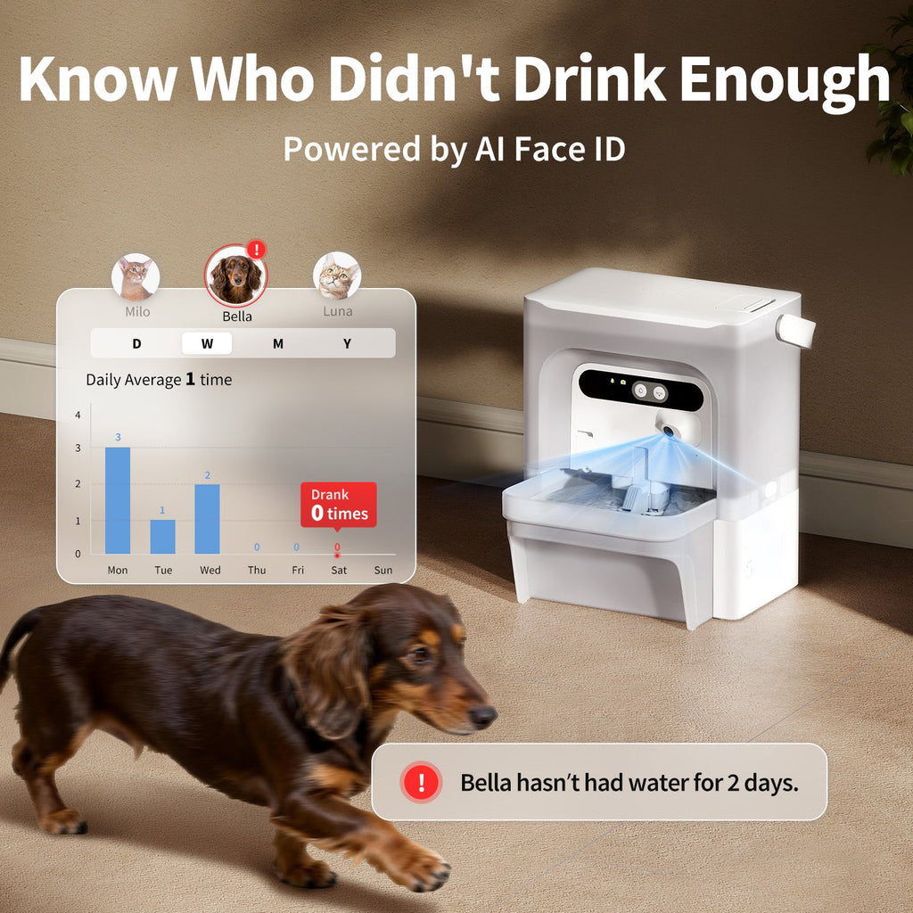 Smart Pet Water Fountain with Camera product image 6
