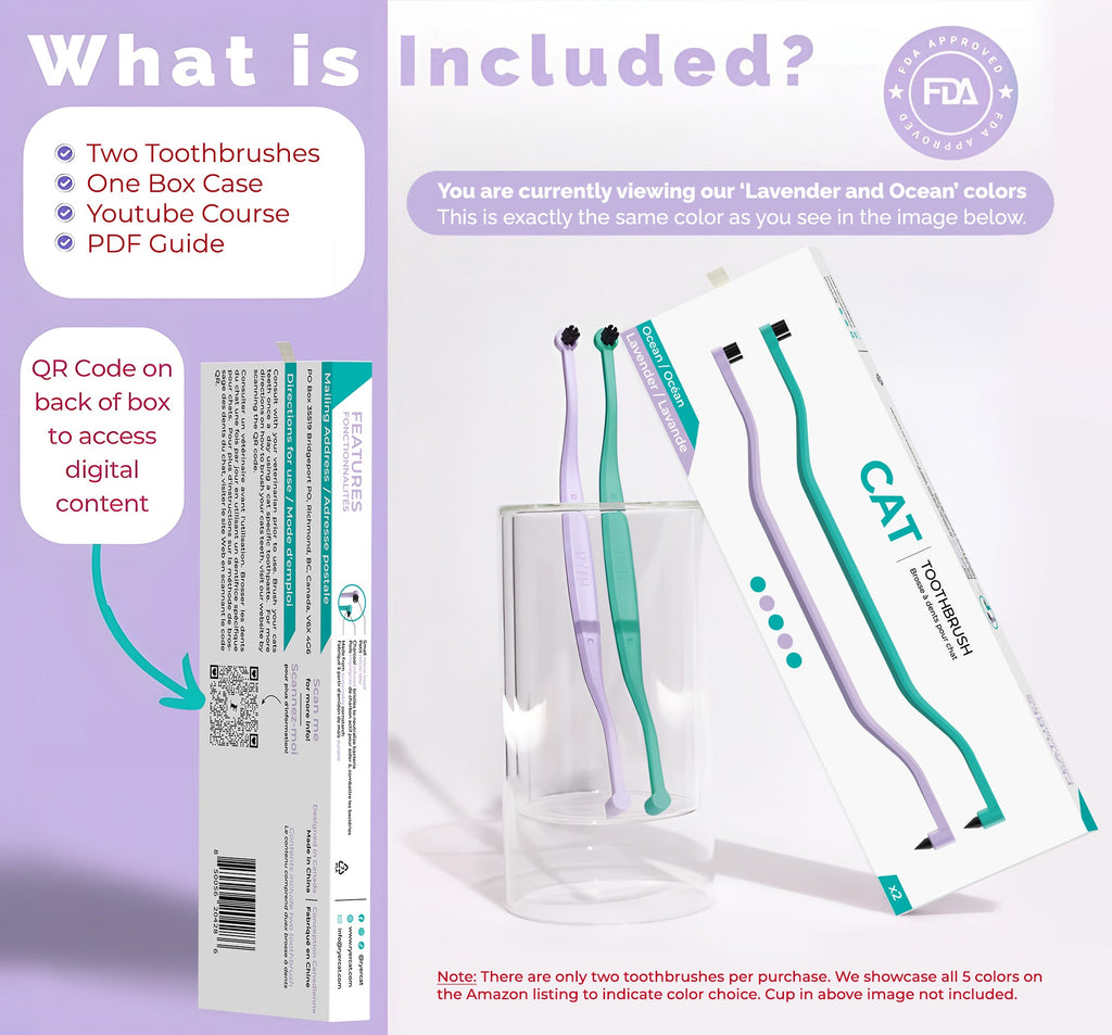 Cat Toothbrush product image 4