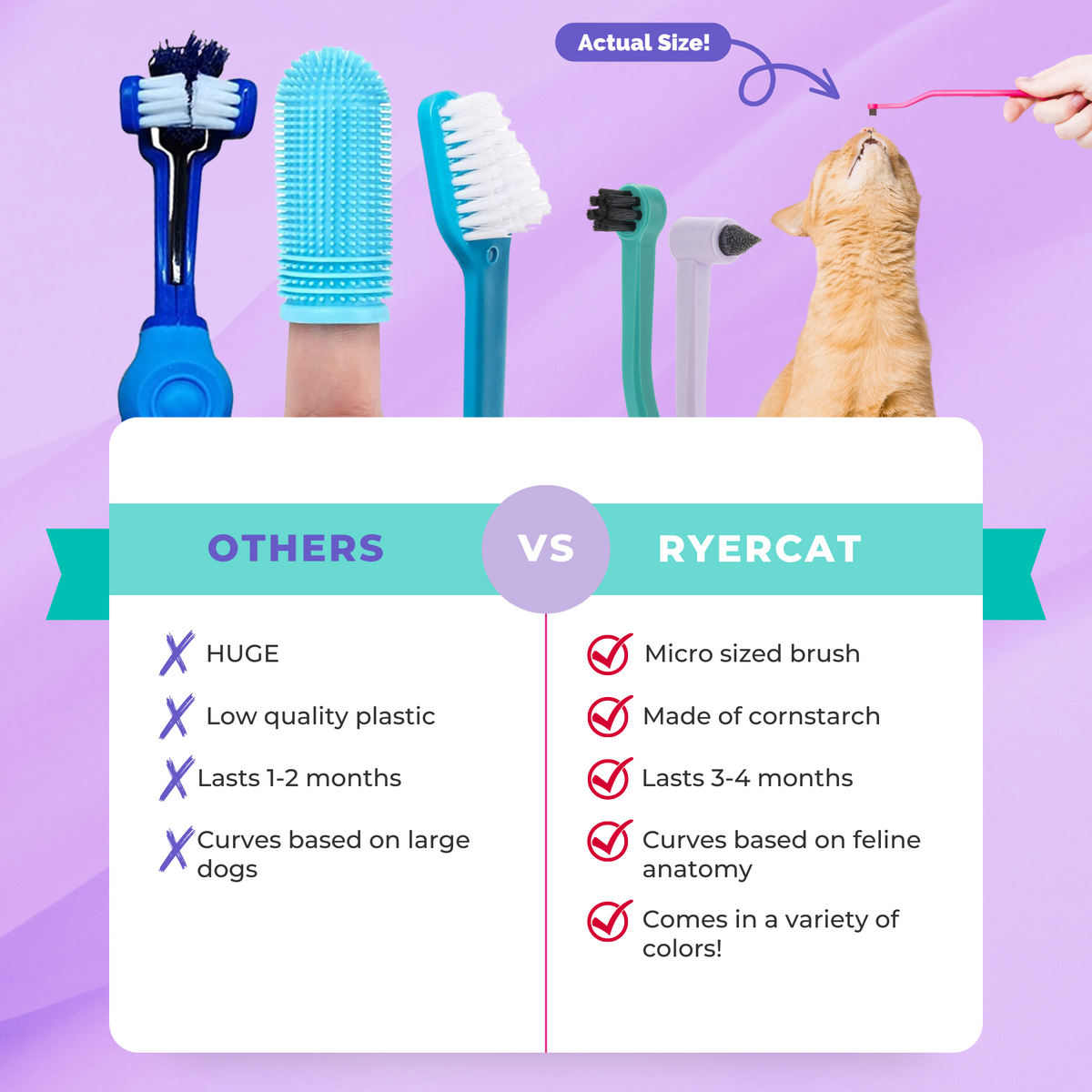 Cat Toothbrush product image 7