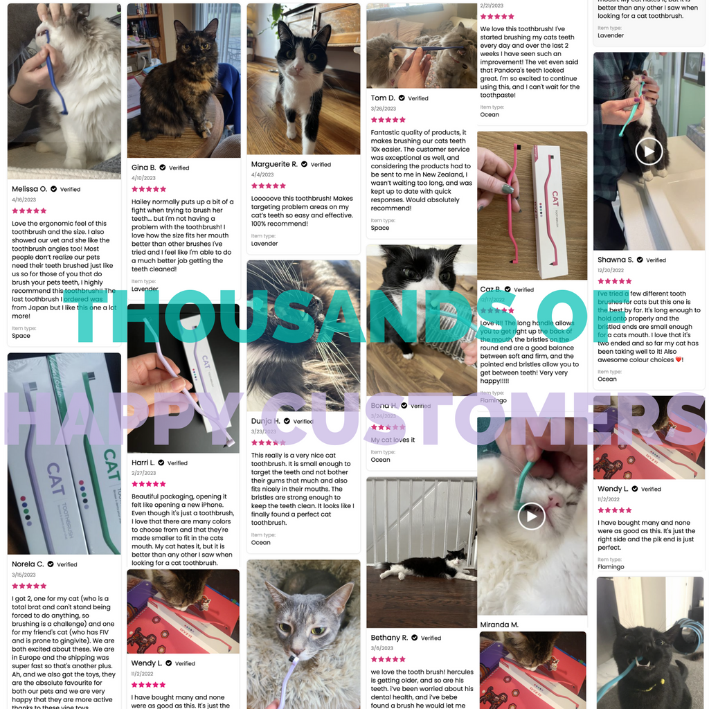 Cat Toothbrush product image 8
