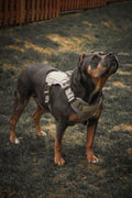 Padded Dog Harness product image 1