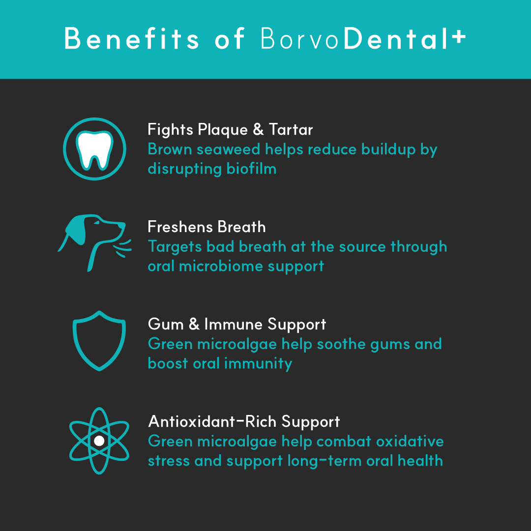 Dog Dental Supplement product image 2