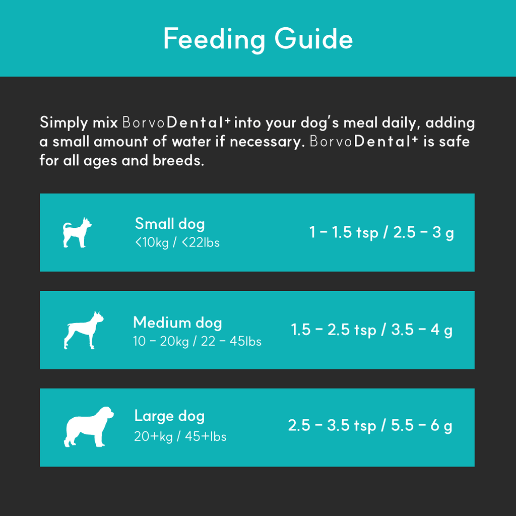 Dog Dental Supplement product image 3