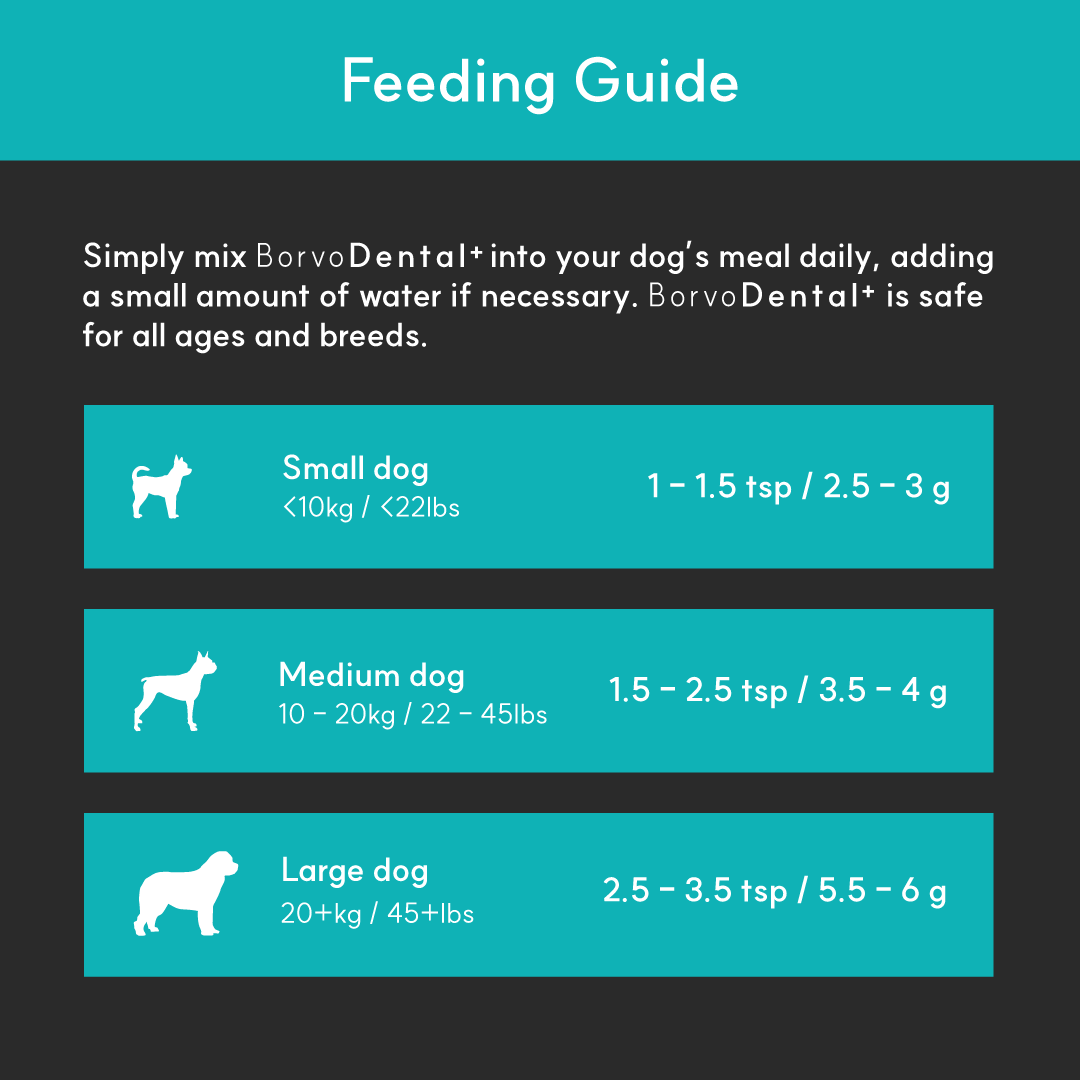 Dog Dental Supplement product image 3