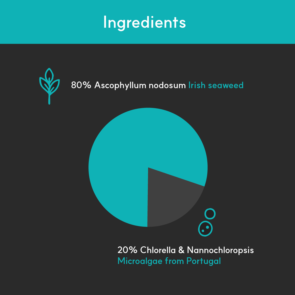 Dog Dental Supplement product image 4