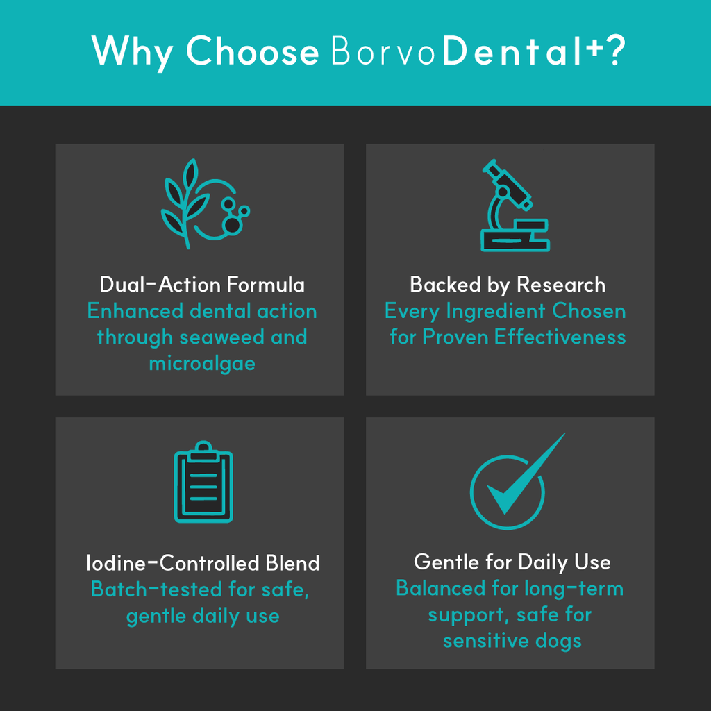 Dog Dental Supplement product image 5