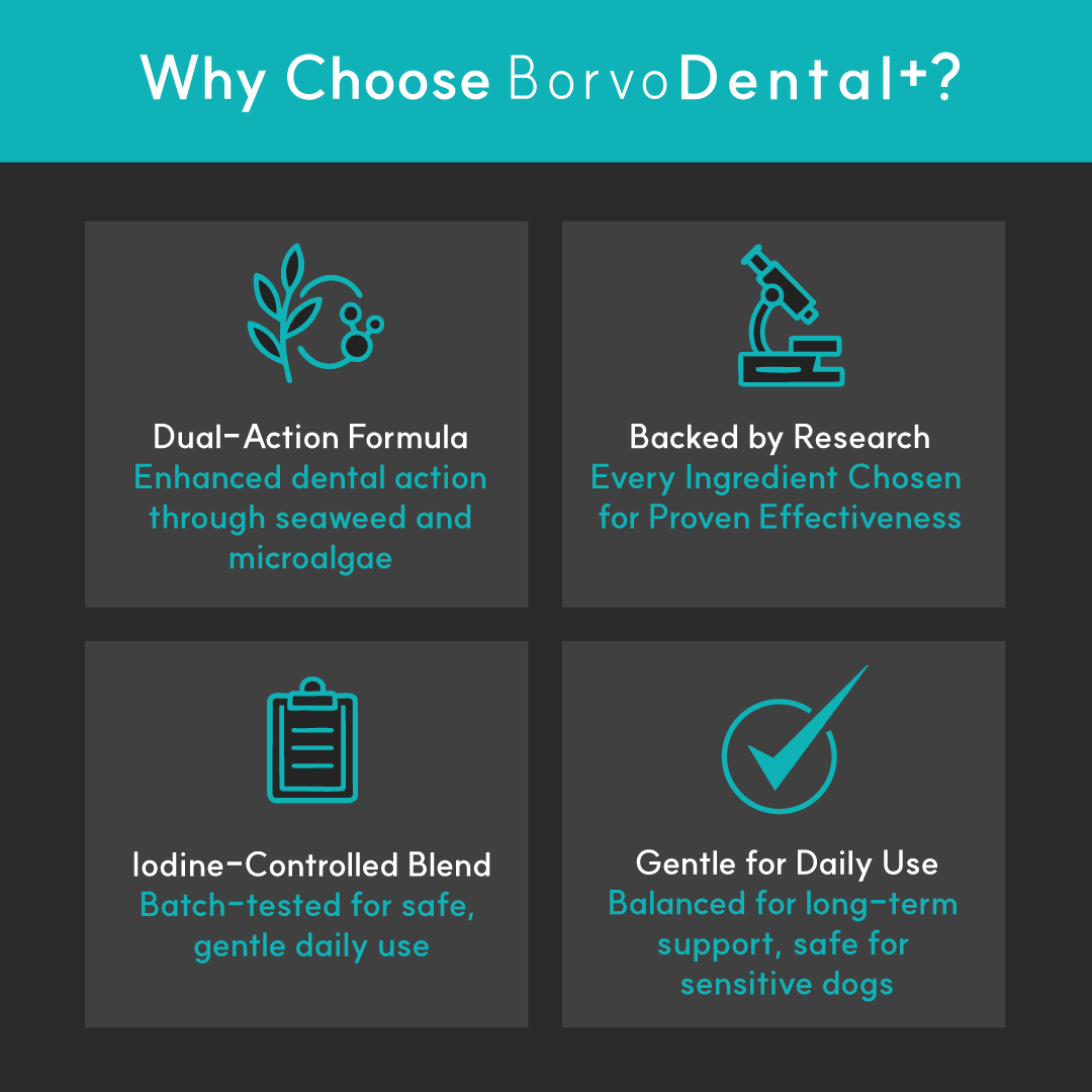 Dog Dental Supplement product image 5