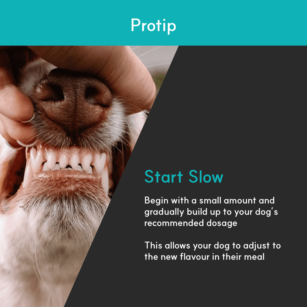 Dog Dental Supplement product image 6