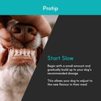 Dog Dental Supplement product image 6