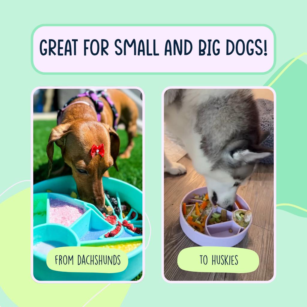 Dog Slow Feeder Bowl product image 4