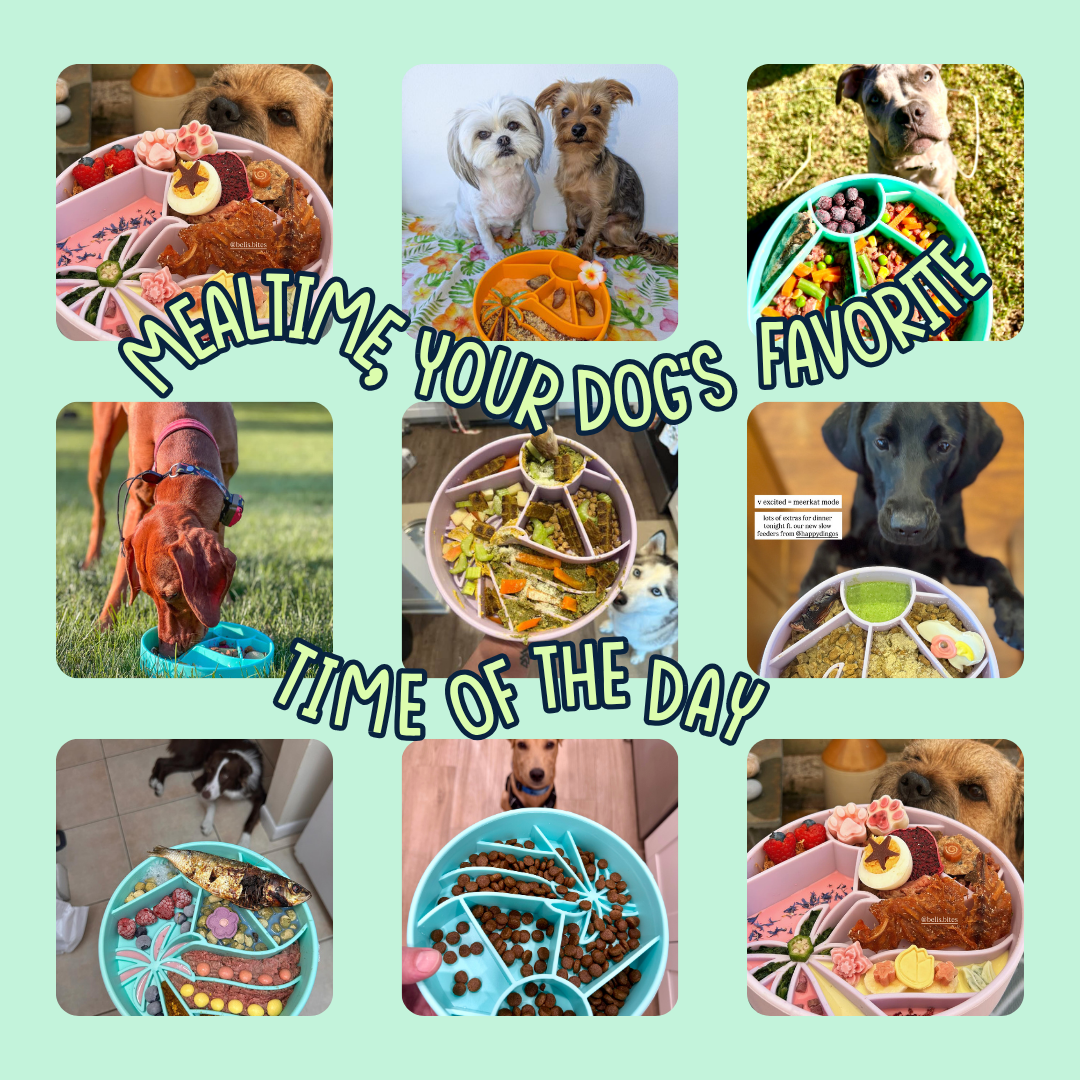 Dog Slow Feeder Bowl product image 5