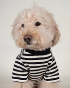 Dog T-Shirt product image 1