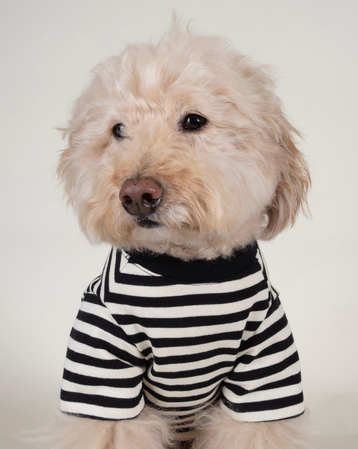 Dog T-Shirt product image 1