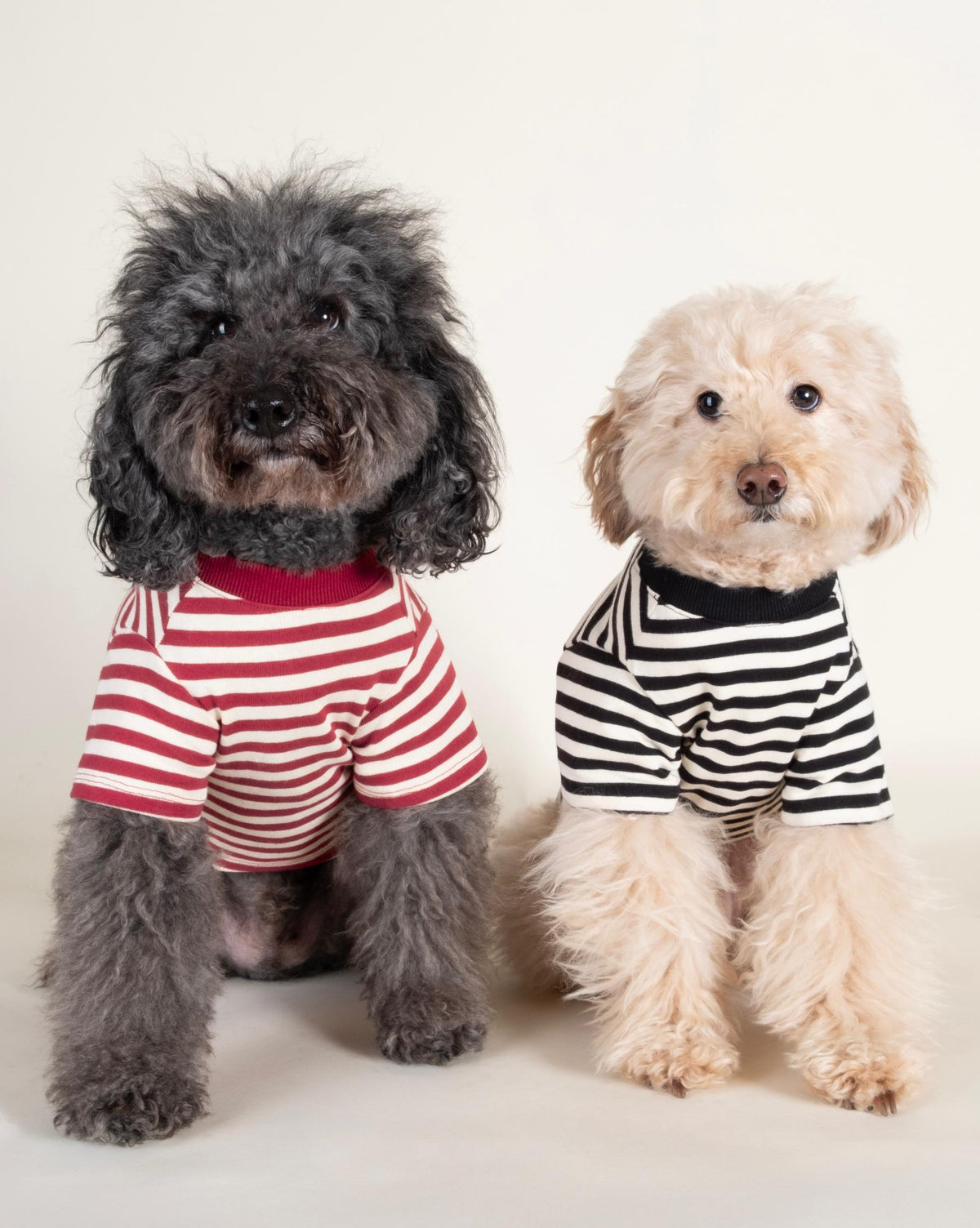Dog T-Shirt product image 4