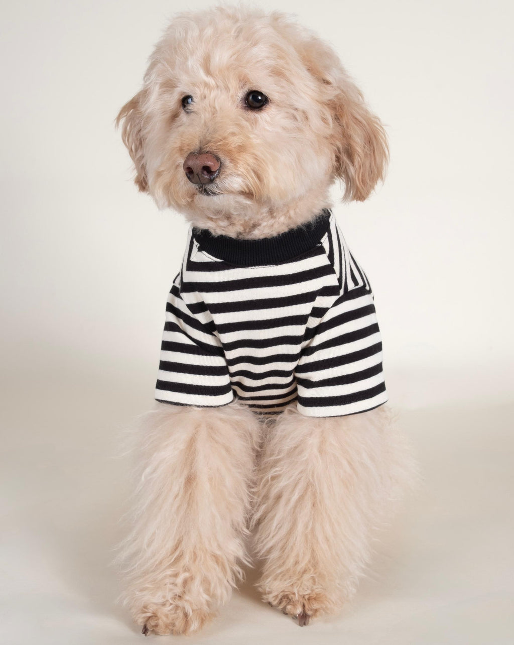 Dog T-Shirt product image 5