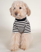 Dog T-Shirt product image 5