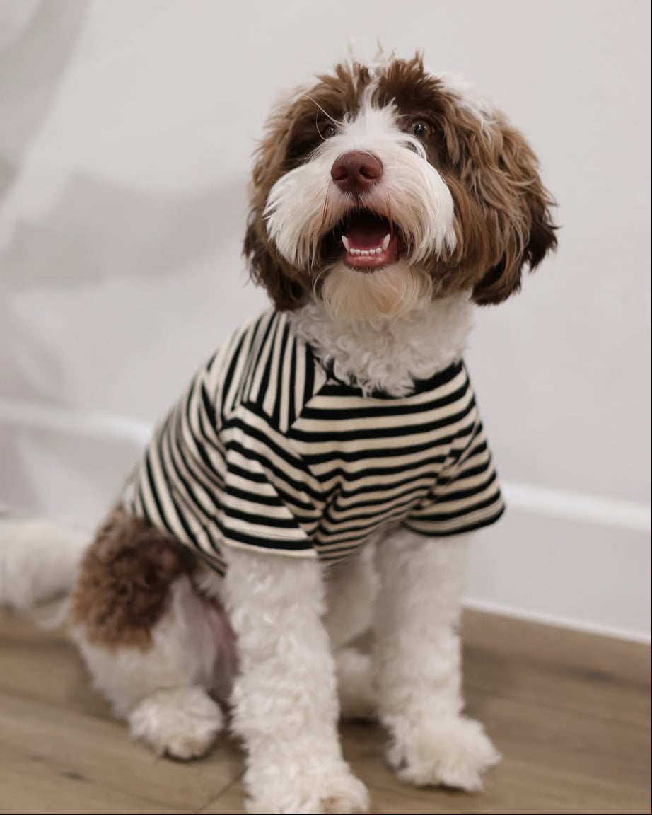 Dog T-Shirt product image 8