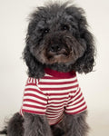 Dog T-Shirt product image 1