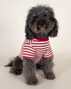 Dog T-Shirt product image 3
