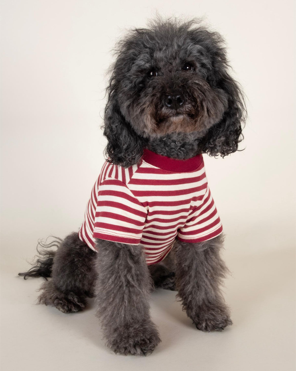 Dog T-Shirt product image 3