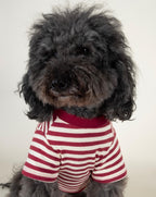 Dog T-Shirt product image 6