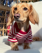Dog T-Shirt product image 8