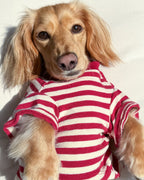 Dog T-Shirt product image 11