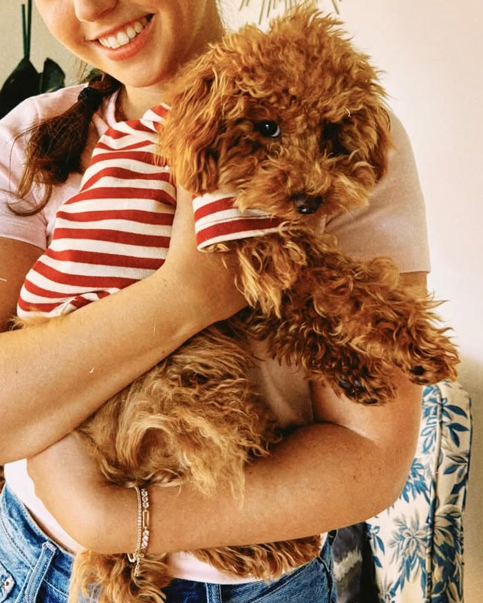 Dog T-Shirt product image 12